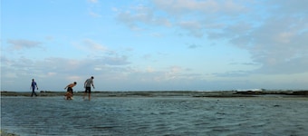 Seaside Sayang Heulang by Sinergi