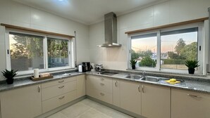 Een moderne keuken met twee spoelbakken, een afzuigkap en een raam met uitzicht op groen en een straat.