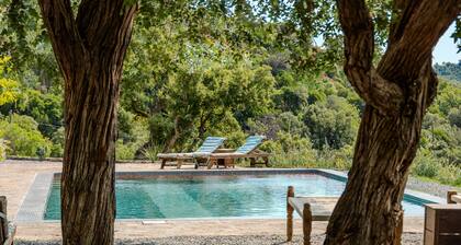 Stone House with Heated Pool, Sauna, Tennis Court... 20 Min. from Saint-Tropez