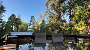 A glass table with wicker chairs in a forest setting.