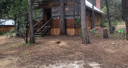 Charming cabin with AC, WiFi 5 minutes from Bass lake