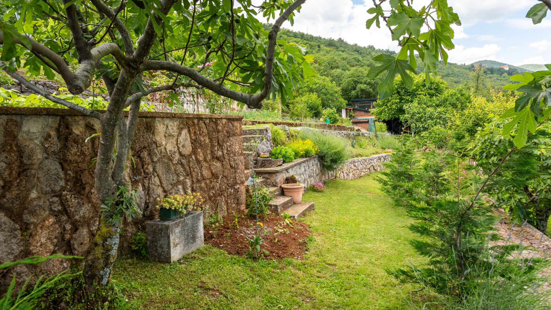 A garden with stone walls, a grassy area, and a variety of plants.