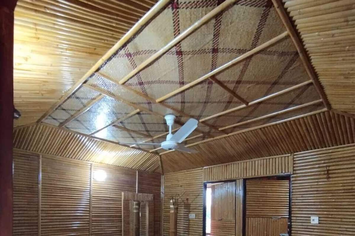 A room with a bed, a ceiling fan, and a door.