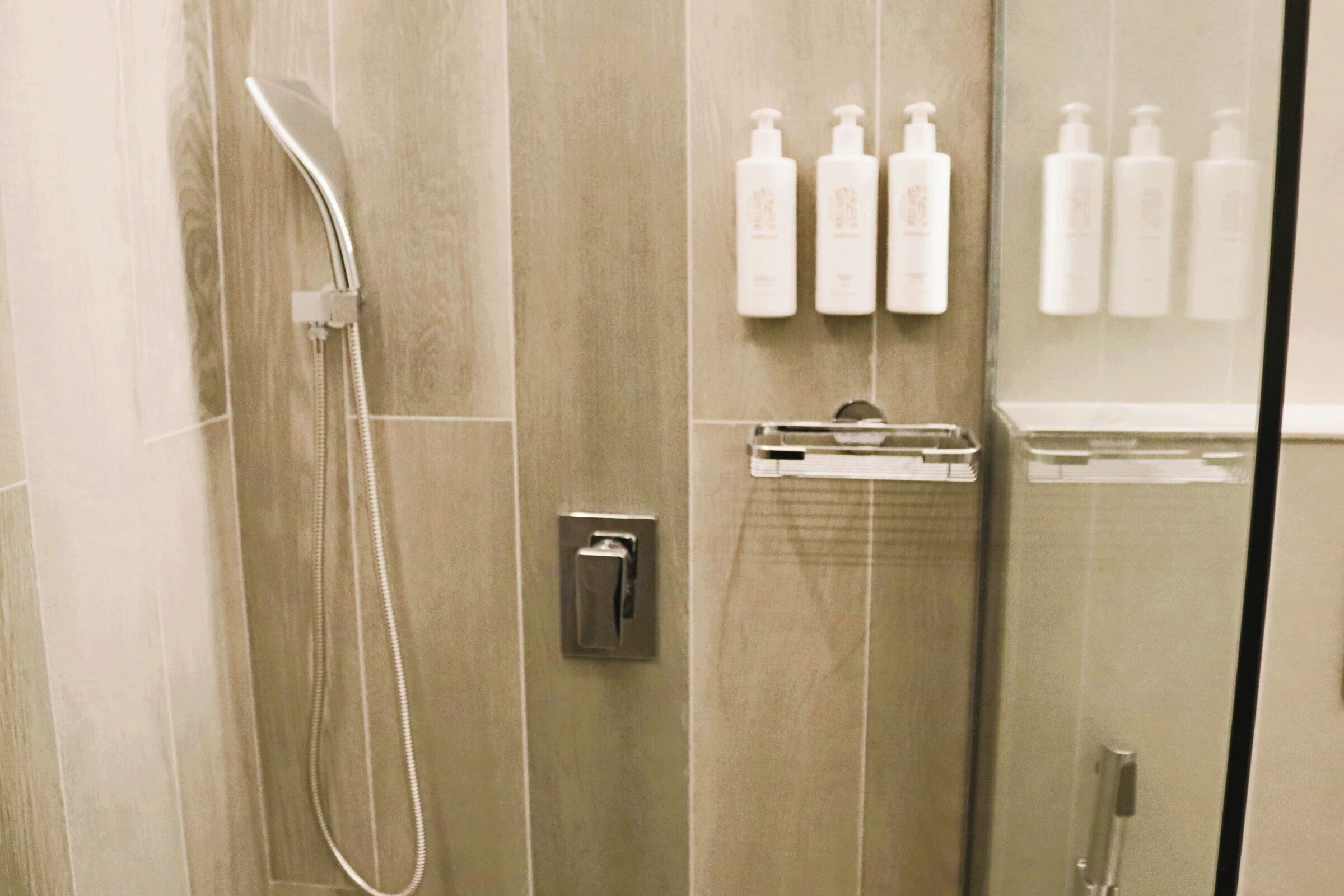 A shower area with a handheld showerhead, a wall-mounted soap dispenser, and a towel rack.