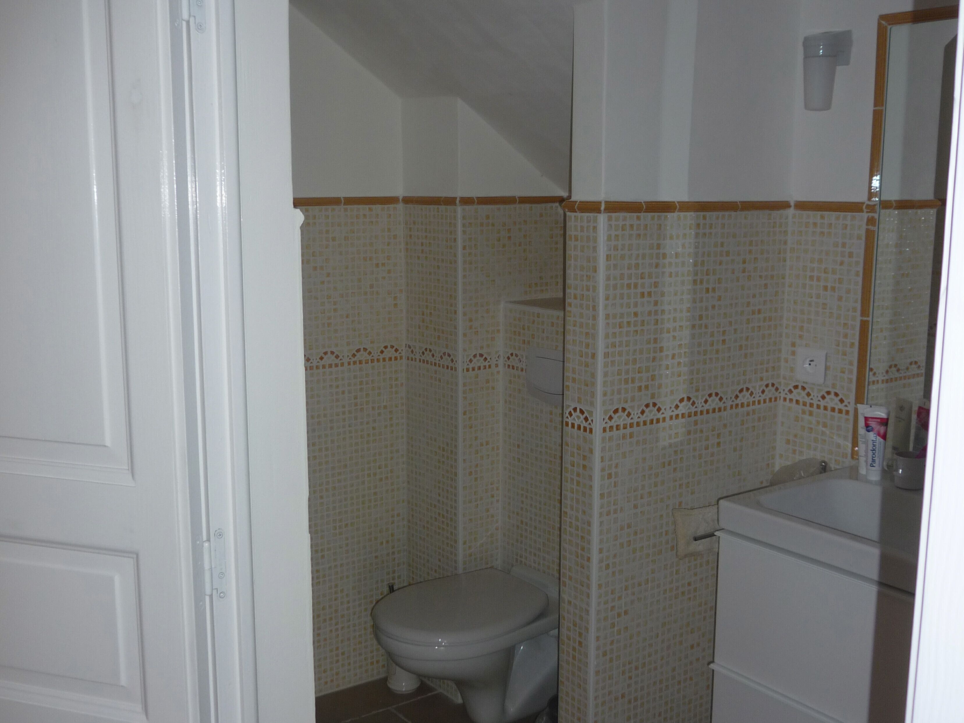 Een kleine badkamer met toilet, wastafel en spiegel.