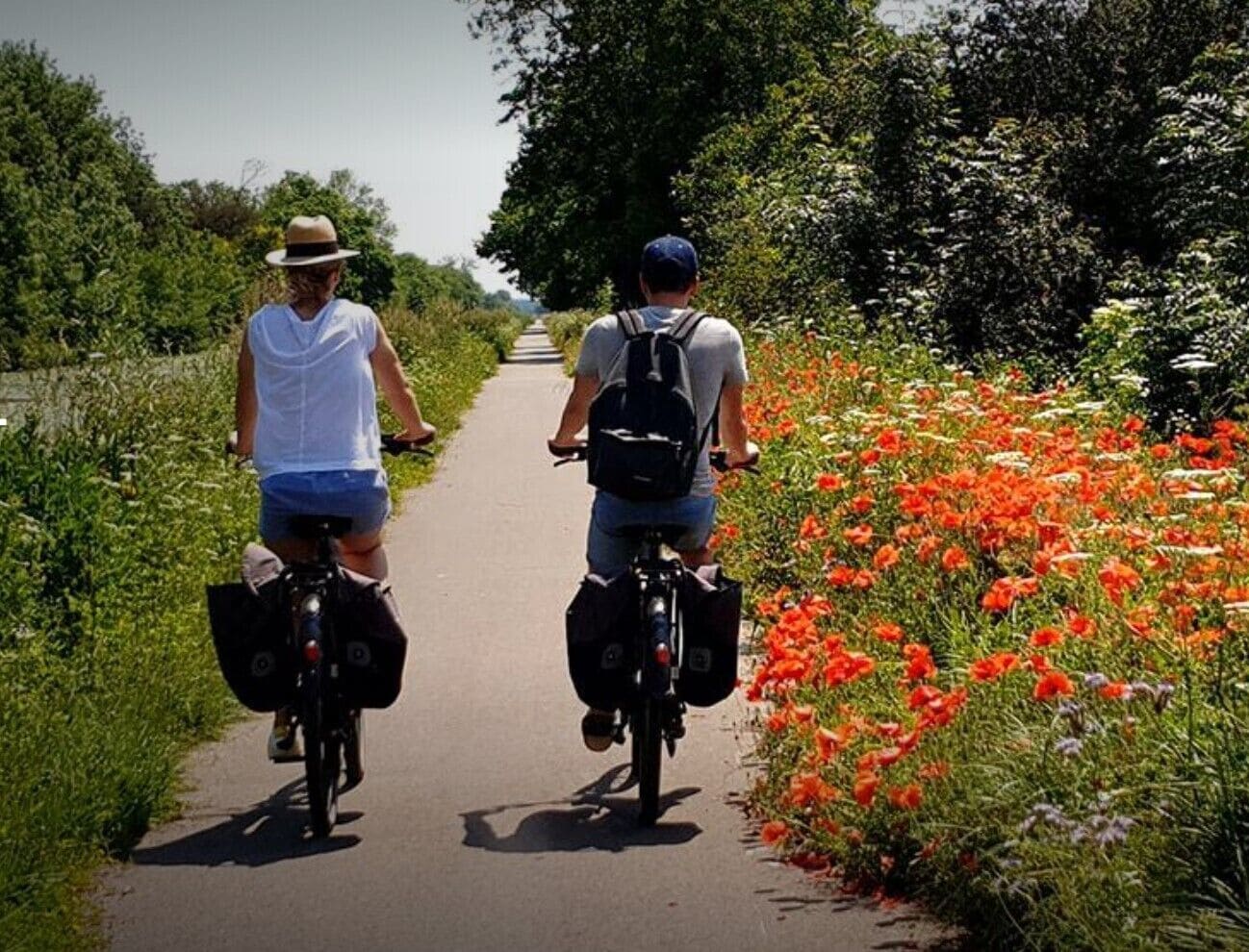 Zwei Personen fahren auf Fahrrädern auf einem asphaltierten Weg, der von Grünpflanzen und roten Blüten gesäumt ist.