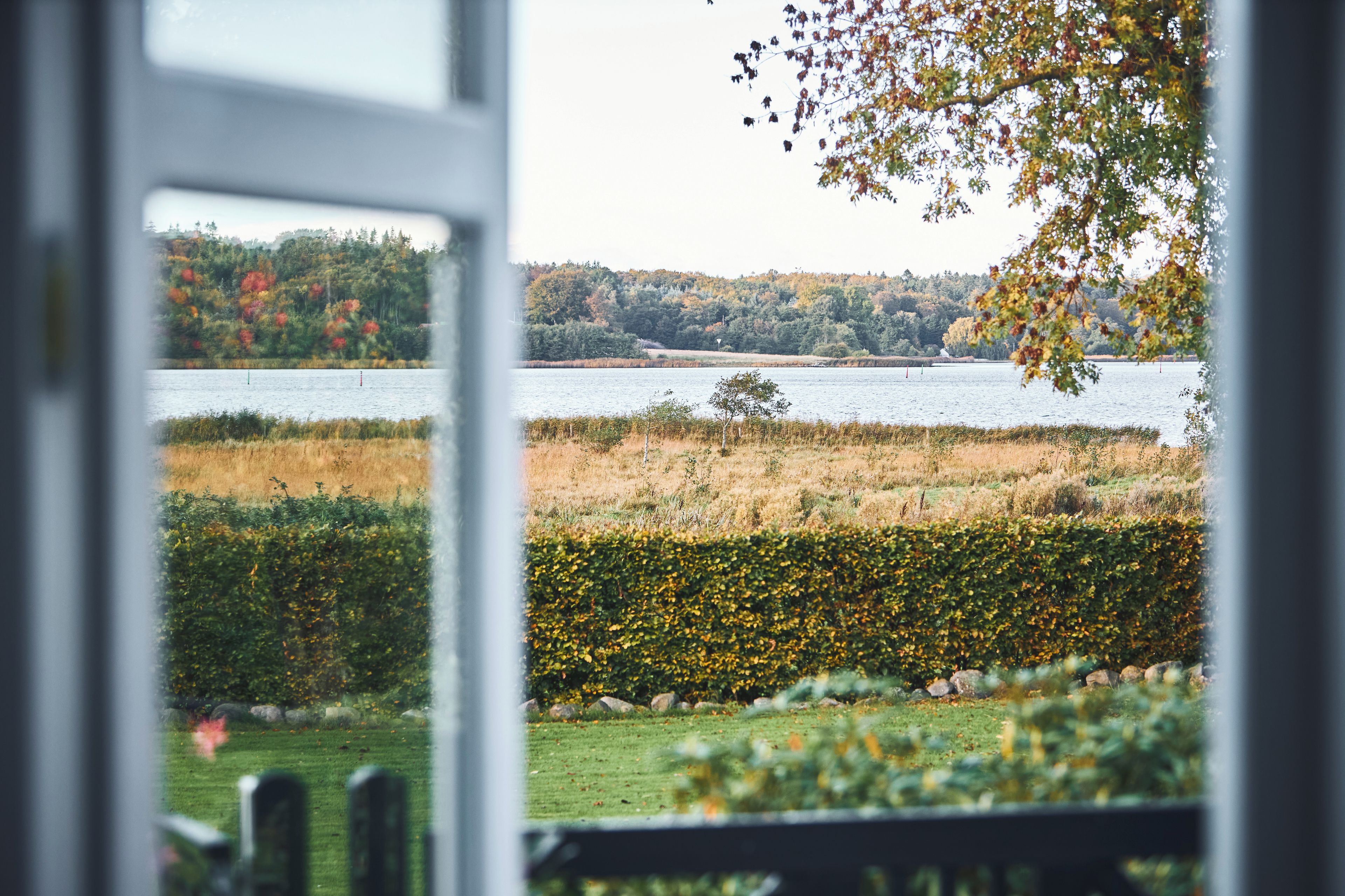 Vista a través de una ventana de un lago con una colina boscosa al fondo.