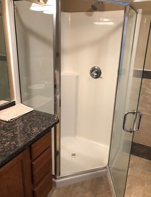 Shower, jetted tub, hair dryer, towels