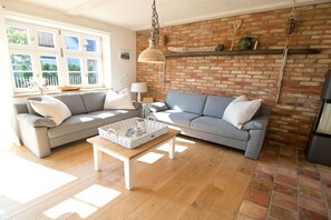 Smart TV, fireplace, DVD player, books