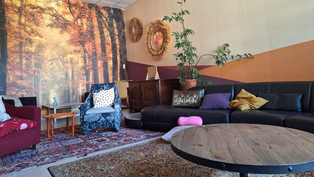 A living room with a large forest mural, a wooden coffee table, a sofa with cushions, a chair, and a potted plant. - Group gîte, many activities, river, footbridge, dogs ok, nature (Mazamet)