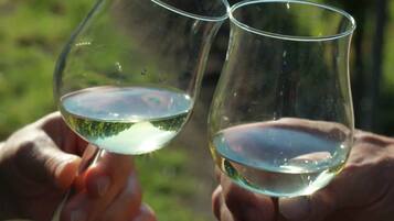 Dos manos sosteniendo copas de vino, con un fondo exterior verde.