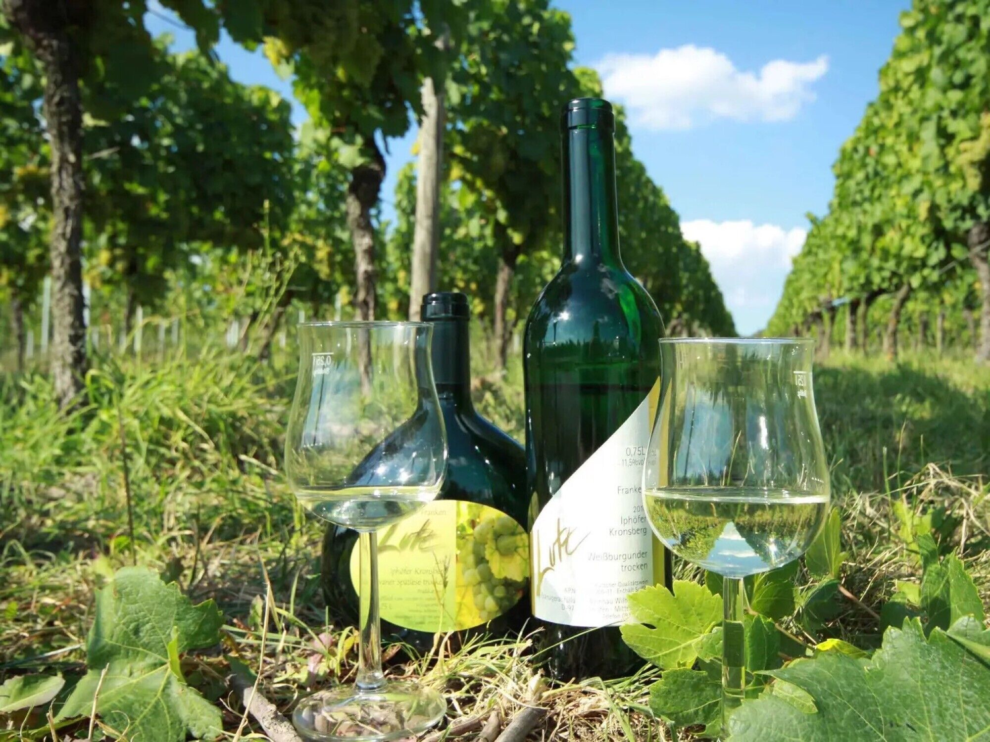 A bottle and two glasses on the ground in a vineyard.