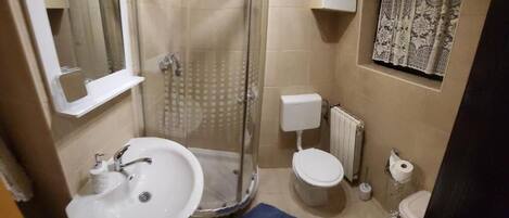 Shower, towels, toilet paper