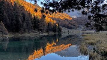 Uno specchio d'acqua tranquillo che riflette alberi e un cielo sereno.