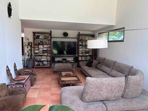 Smart-TV, Kamin