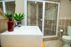 Une salle de bain avec un lavabo blanc, une bouteille rouge et une plante verte.