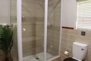 A bathroom with a glass-enclosed shower, a toilet, and a potted plant. - Silverlakes Farm Hotel (Pretoria)