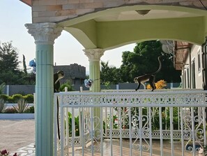 المنشأة من الخارج