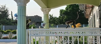 Madora Lodge