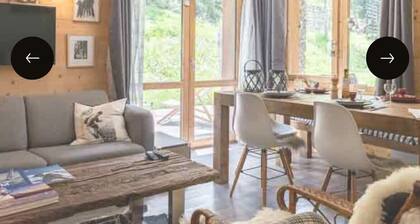 2-bedroom apartment "sur piste" with terrace and nature view (Forêt area)