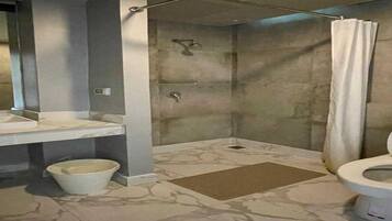 Shower, hair dryer, bidet, towels