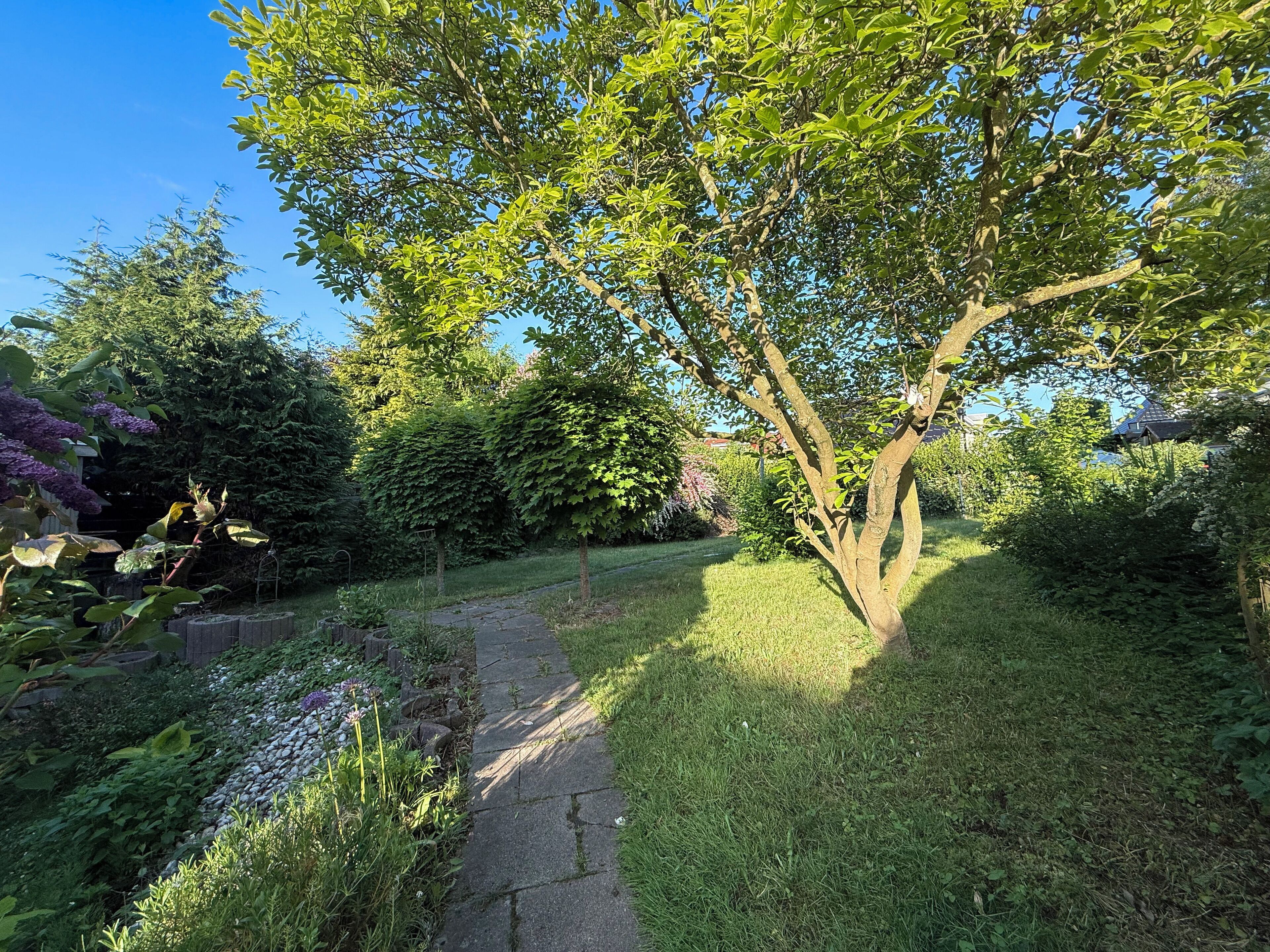 Área da propriedade