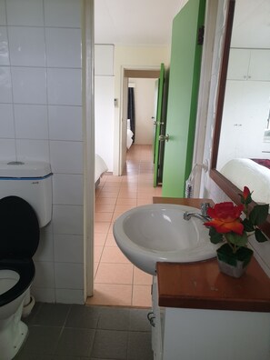 Un baño con inodoro, lavabo y una puerta verde que da a otra habitación.
