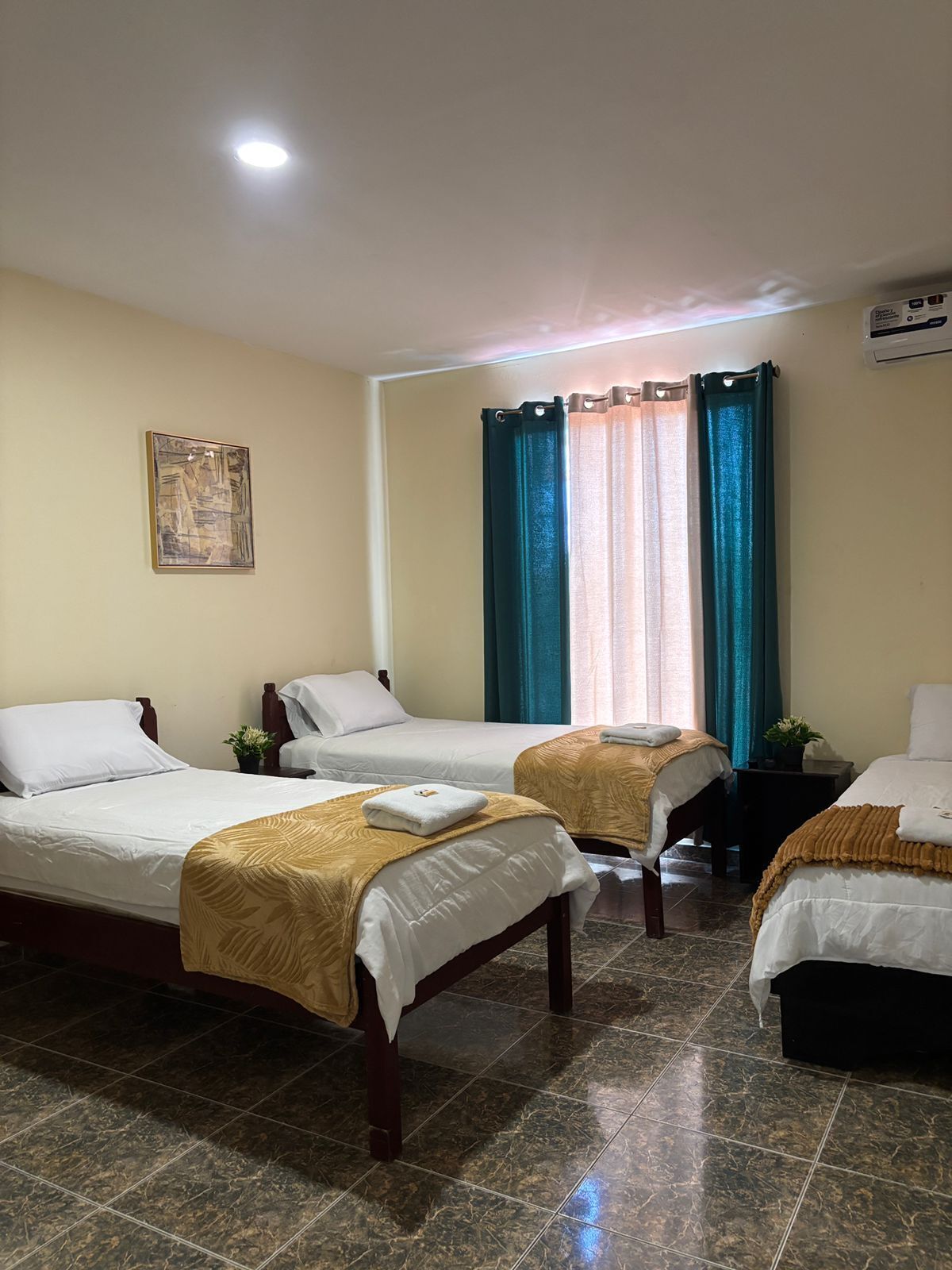 Basic Triple Room, 3 Single Beds, Non Smoking | Free WiFi