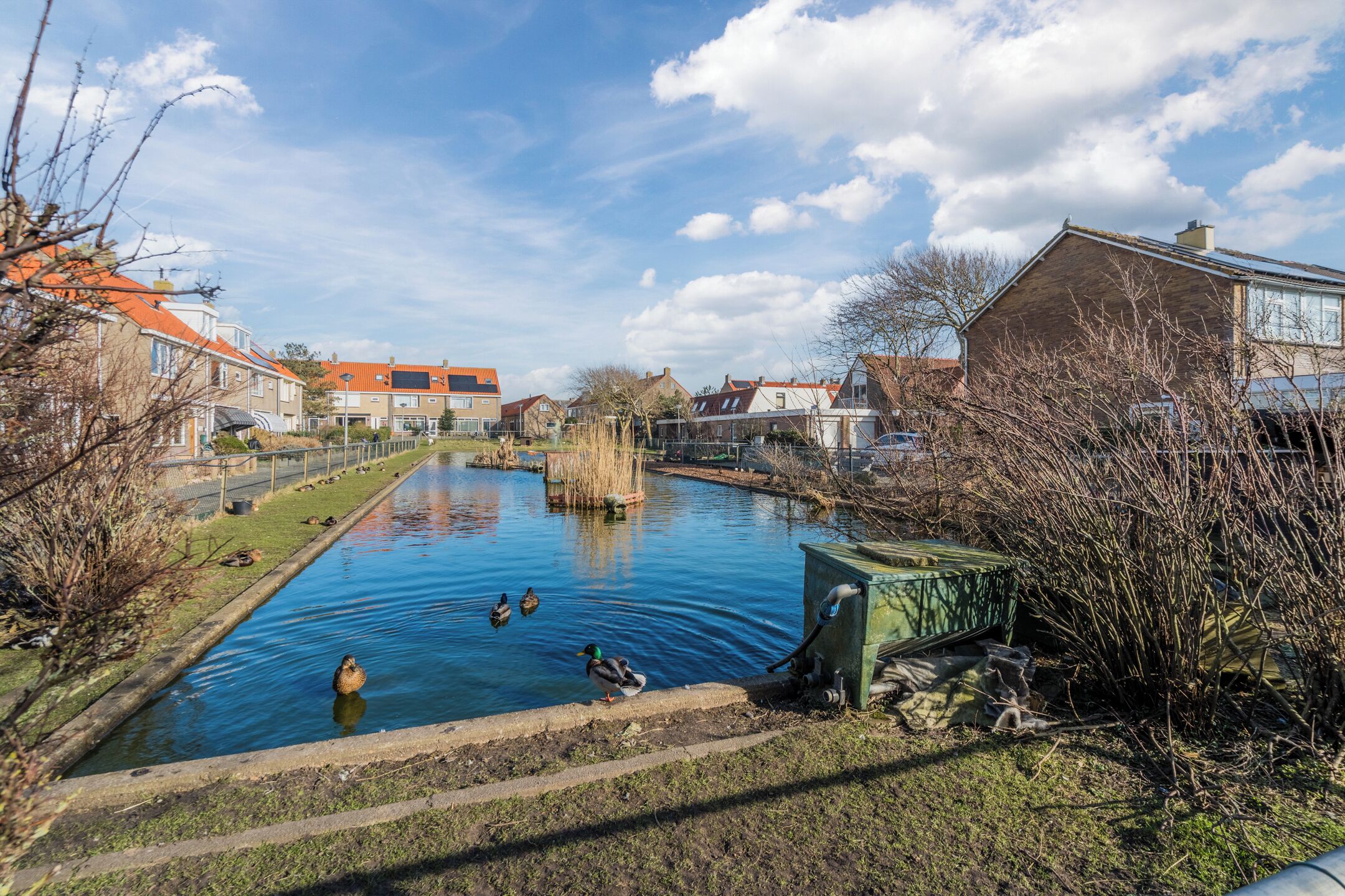 A canal with ducks, surrounded by residential buildings and trees.