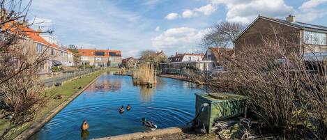 A canal with ducks, surrounded by residential buildings and trees.