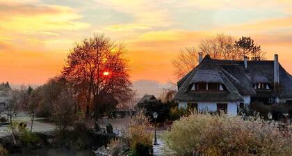 Charming apartment in our manor house in central Alsace.