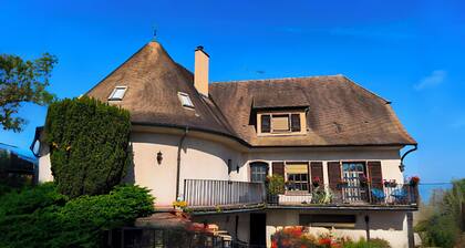 Charmant appartement dans notre manoir en centre Alsace.