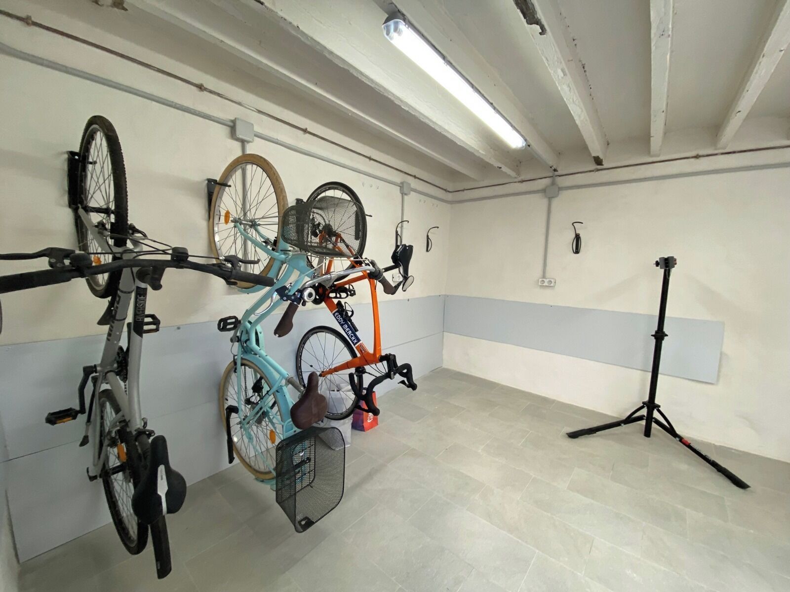 Photo - Flor de Mandarina