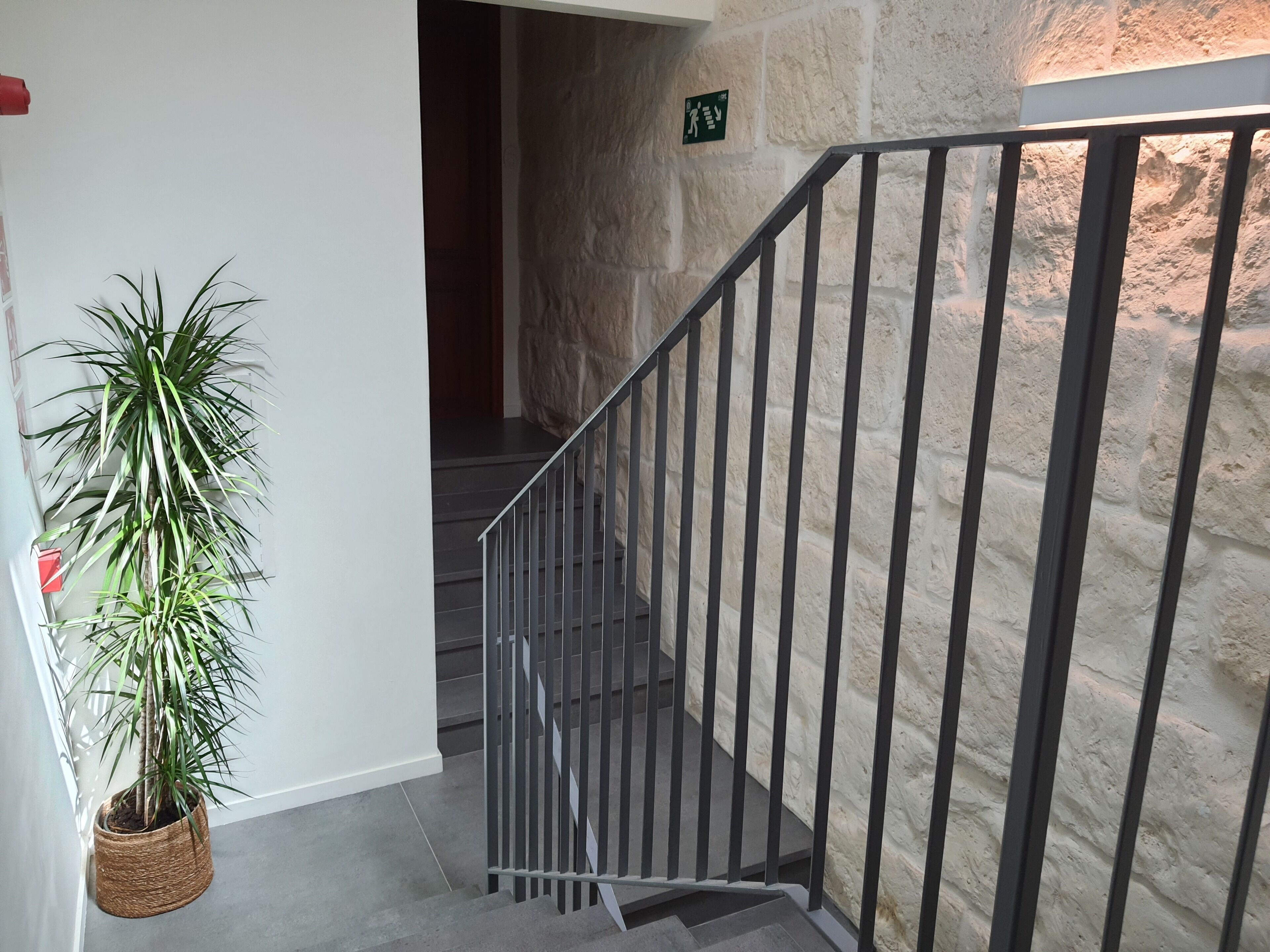 Photo - Flor de Mandarina