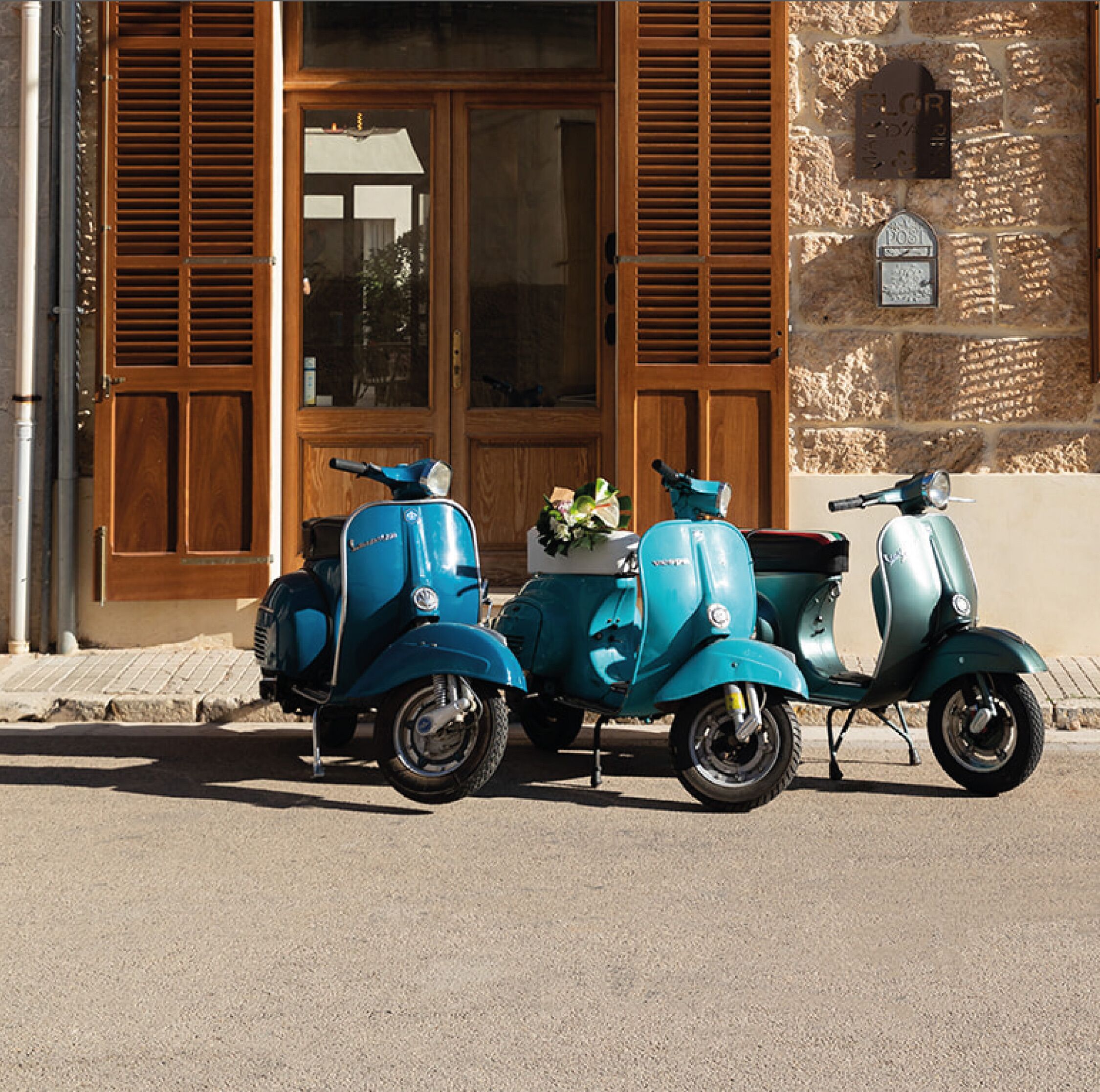 Photo - Flor de Mandarina