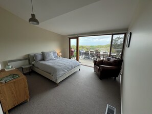 Smart TV, fireplace, books, computer monitors