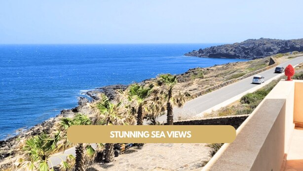 A coastal road with a view of the sea, palm trees, and a rocky landscape. - Dammuso - Cala Cinque Denti - AFFITTI\'CA (Pantelleria)