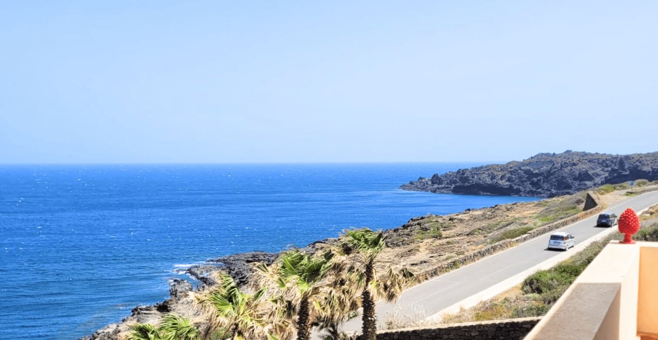 Une route côtière offrant une vue sur la mer, des palmiers et un paysage rocheux.