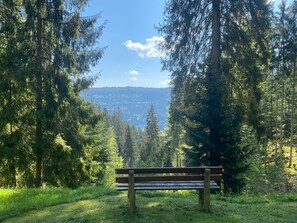 Property grounds - Bollenhut 1 Time out in the countryside! FEELING GOOD. RELAX. ARRIVAL. (Unknown)