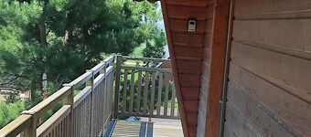 Cozy mountain chalet in Super Besse with large grounds and private parking