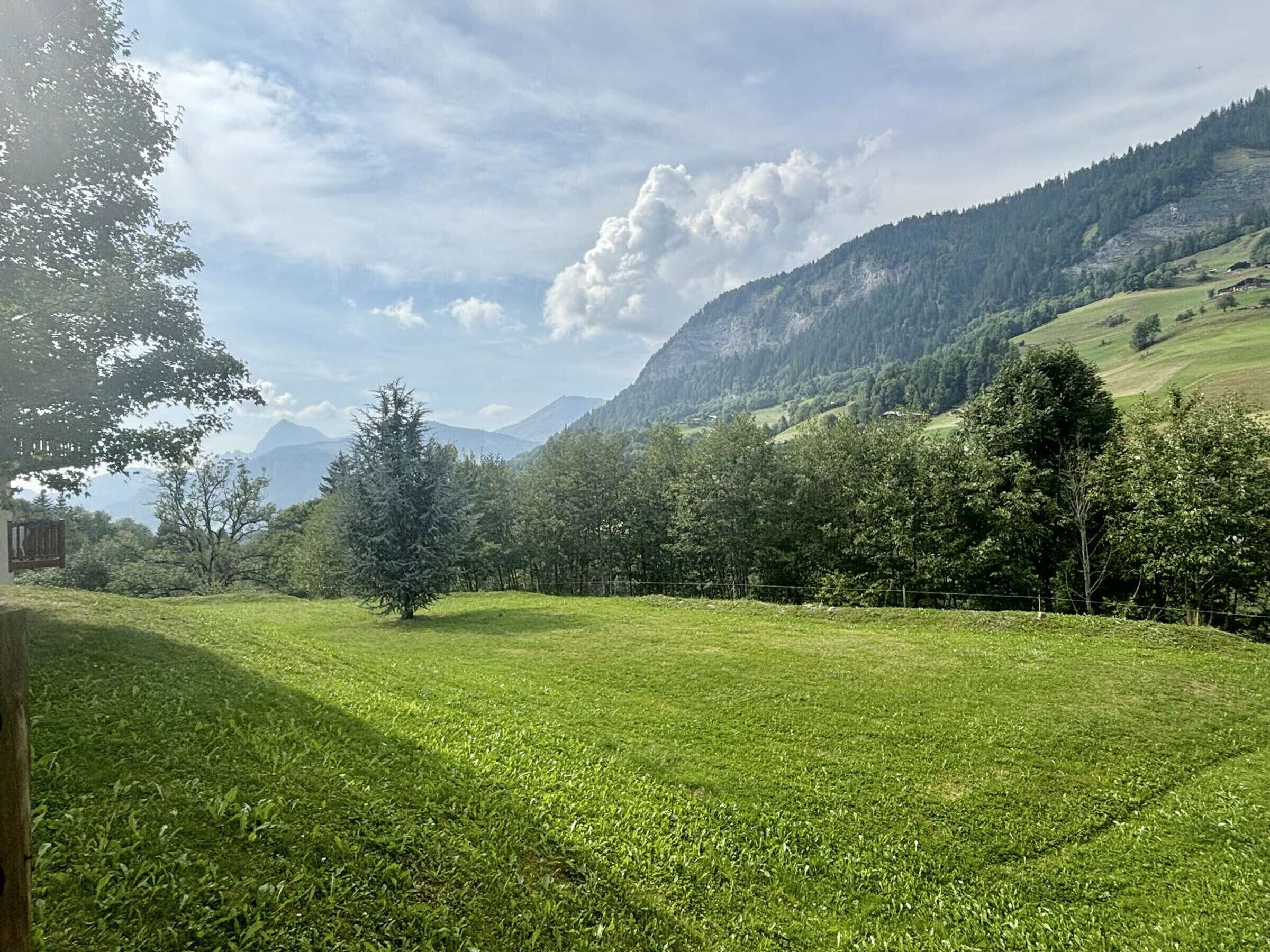 A grassy field with a single tree, a wooden fence, and a mountain in the background.