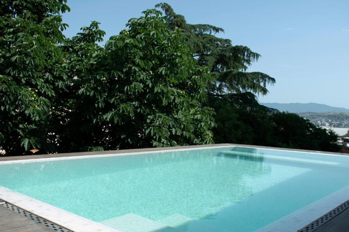 Une piscine rectangulaire à l’eau d’un bleu cristallin, entourée d’arbres verdoyants et avec une vue sur la ville en arrière-plan.