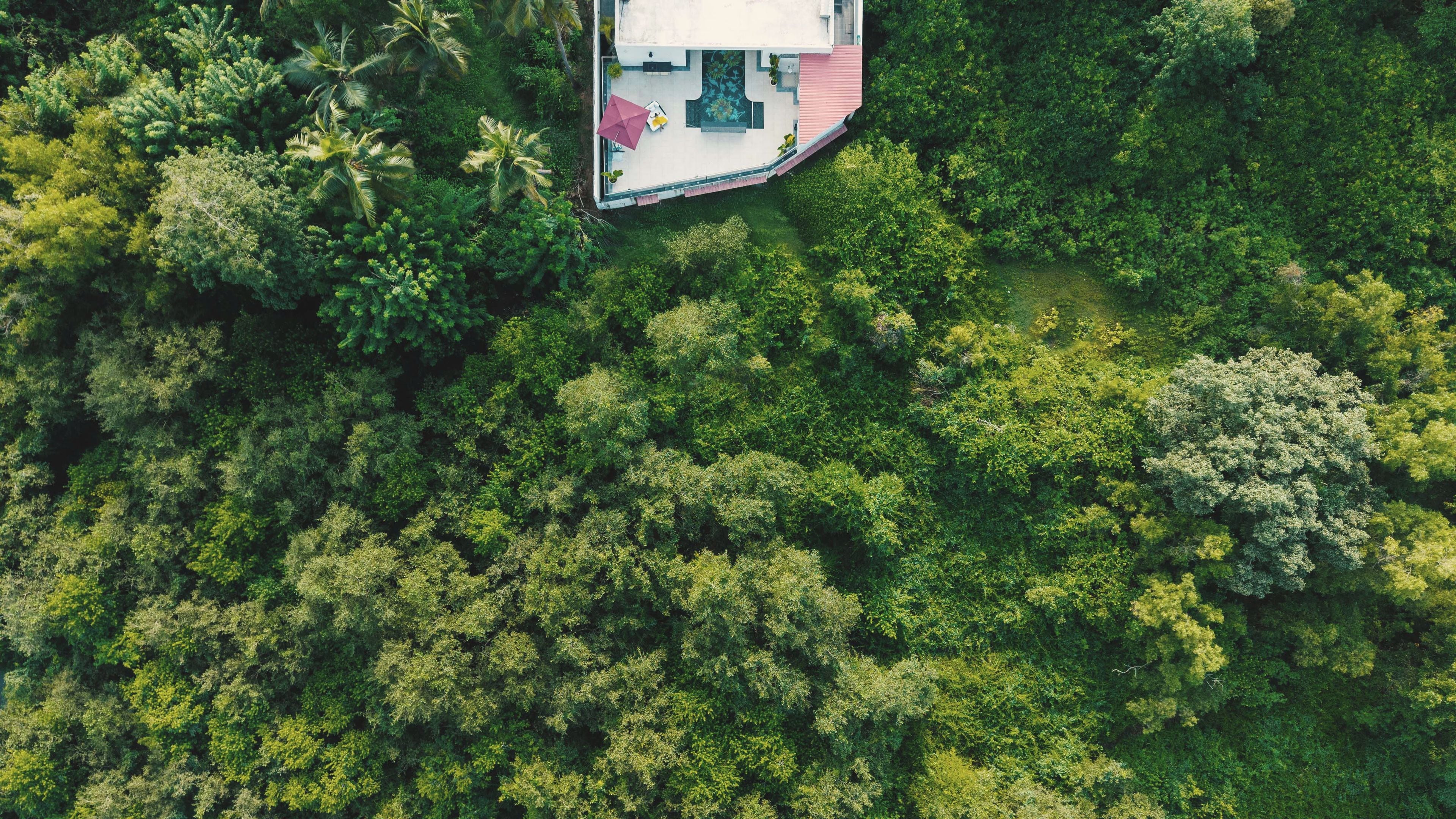 An aerial view of a house surrounded by dense forest, with a visible patio area.