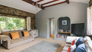 A cozy living room with a stone wall, a wooden ceiling, a large window, a bookshelf, a television, and a sofa. - The Old Barn (Lampeter)
