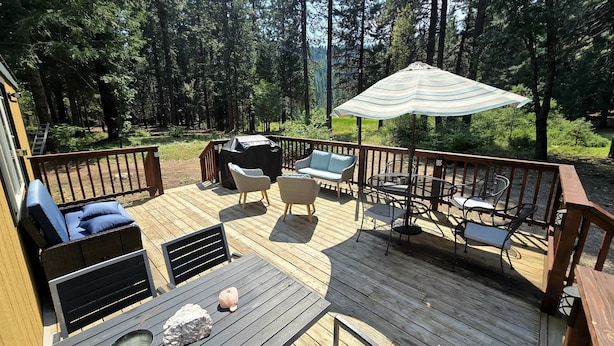 A wooden deck with outdoor furniture, including sofas and a table, surrounded by a forest.