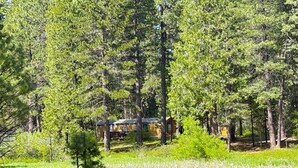 A cabin surrounded by tall trees and a grassy field.