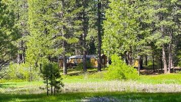 Une cabane entourée de grands arbres et d’un champ d’herbe.