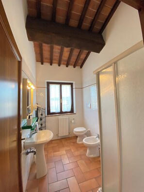 Shower, hair dryer, bidet, towels