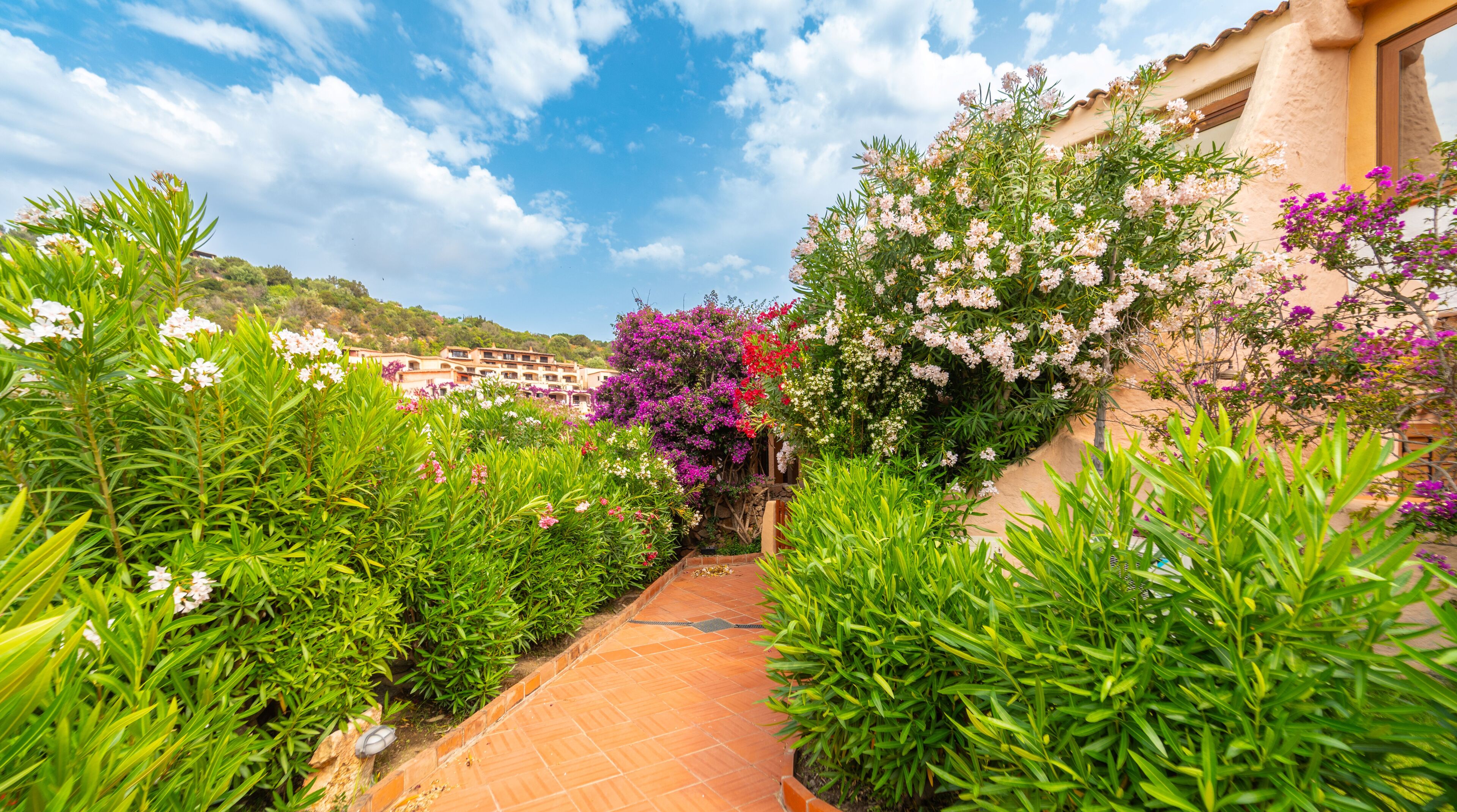 Área da propriedade