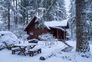 Une cabane en bois entourée d’arbres couverts de neige.
